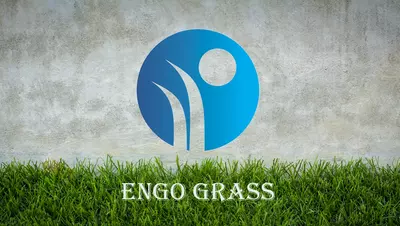 OOO "ENGO GRASS"