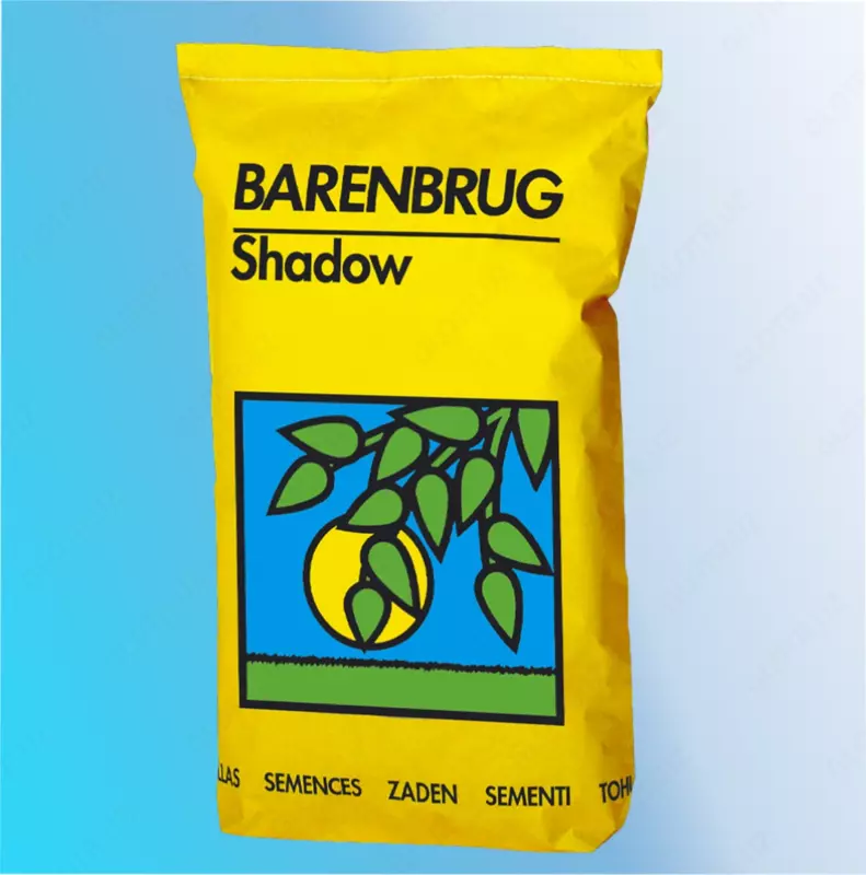 Maysa aralashmasi BARENBRUG Shadow