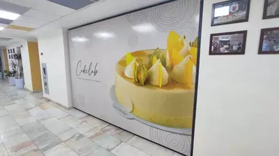 Матовая пленка для окон Наклейка Тонировка Туманка наклейки Mediamax