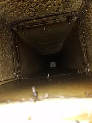 Вент Плюс - все о вентиляции ресторана Только в розницу