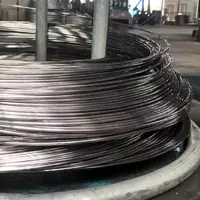 Проволока 10Х16Н25АМ6