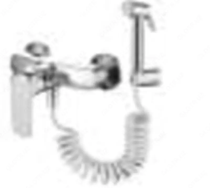 Смеситель CASELA CL55244 с гигиенической лейкой