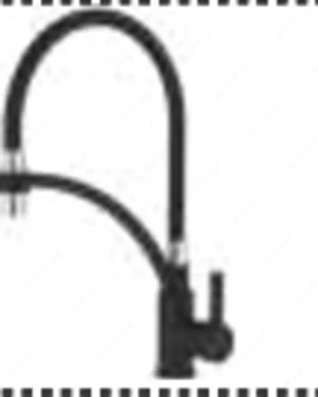 Смеситель CASELA CL54499B-2 (черный) для кухни