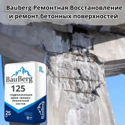 Bauberg Ремонтные безусадочный литьевой Тиксотропный смеси для бетона - 65 000 so'm / kg