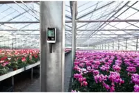 Testo 175 H1 - Логгер данных температуры и влажности - от {0} сум