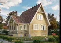 уп. 20 шт. (Зрелый каштан)