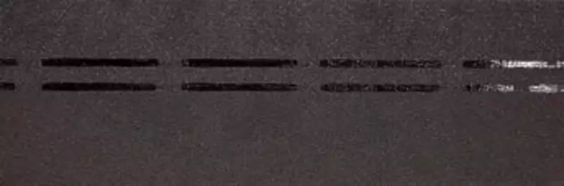 Коньково-карнизная черепица "DÖCKE" Standard (Ассортимент)