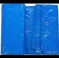  Tarapulin tent Brezent_tex