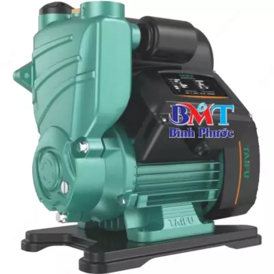 Автоматический водяной насос TAIFU