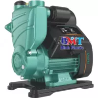 Автоматический водяной насос TW750