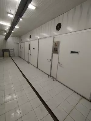 Инкубаторий