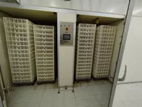 по запросу Инкубаторий