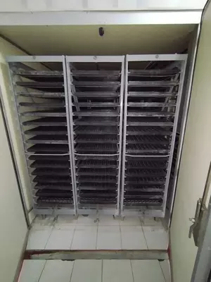 Инкубаторий Только в розницу