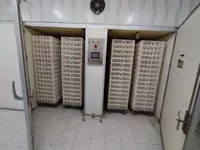 Инкубаторий Zarafshon Lohmann