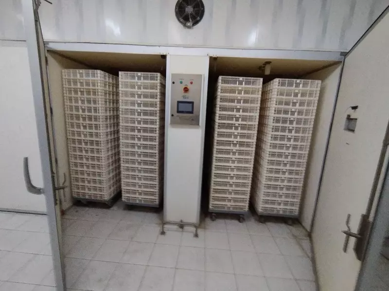 Инкубаторий Zarafshon Lohmann