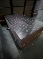 Plyterra DECK laminatlangan kontrplak 18mm  Rossiya  birinchi qollar