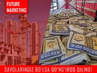 Цемент Sement ЗЗ102