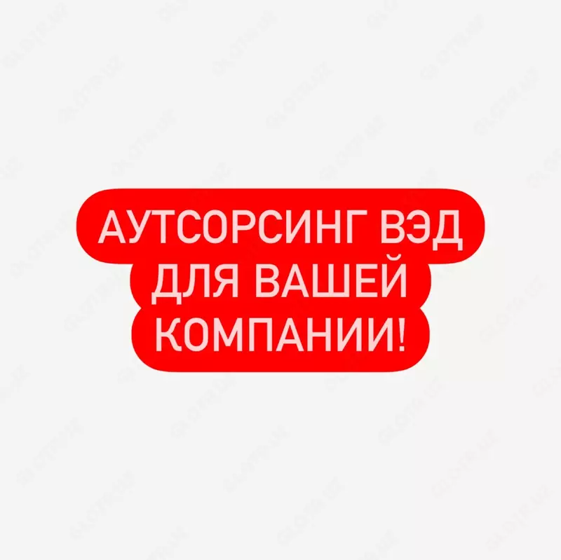 Аутсорсинг ВЭД для Вашей компании!