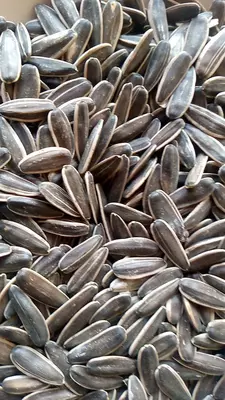 Семечки МЕГА