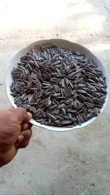 Семечки МЕГА