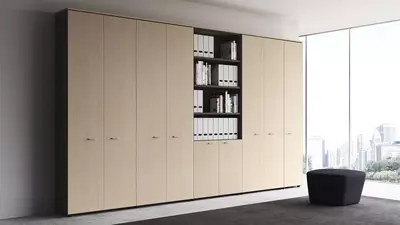 Офисные шкафы под заказ