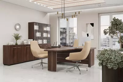 Кабинеты руководителя под заказ