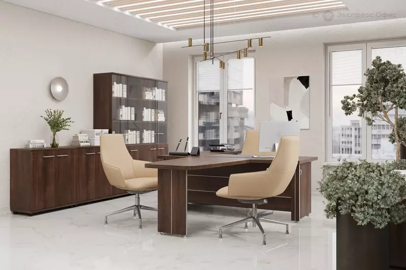 Кабинеты руководителя под заказ