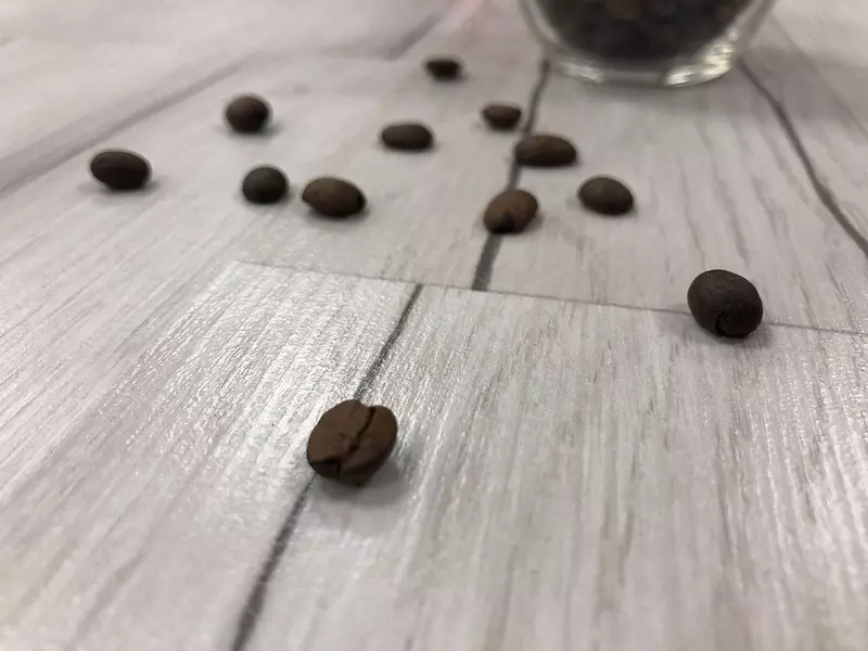 Ламинат Kastamonu Floorpan Red FP452 Дуб Мидгард (без фаски) - 189 918 сум