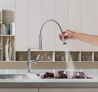 Professional oshxona krani Chrome - 7 182 822.9 so'm