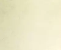 Плита керамическая BLEND AVORIO 1000X3000 от Laminam