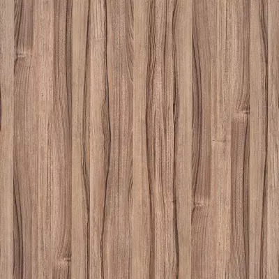 MDF Evogloss Tree Empire 16x1220x2800