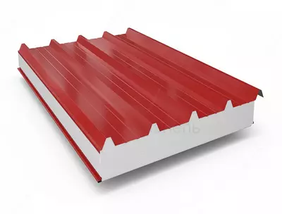 Tom yopish sendvich paneli SPKr100-045-045-PPS-10