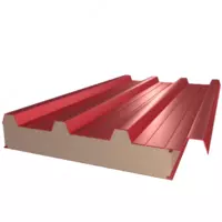 Tom yopish sendvich paneli SPKr100-037-037-PPS-14