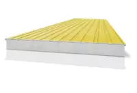 Tom yopish sendvich paneli SPKr100-045-045-PPS-14