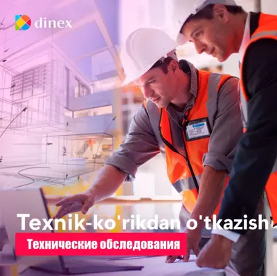Технические обследования D-INEX