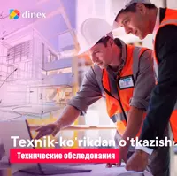 Технические обследования D-INEX