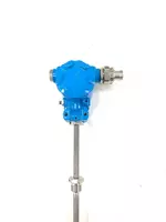 15)-П-(от -50 до +100)-120/10-ПШ.100.М20х1