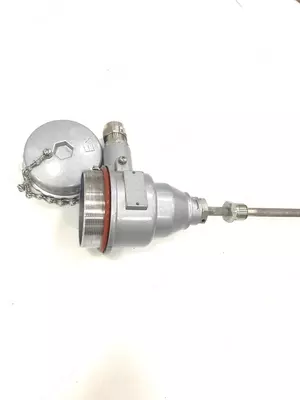 5) -P- (0 dan +60) -250 / 10-NSH.50.1 / 2NPT-M-MG (7-13) -IP68