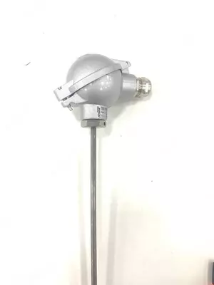 Преобразователь термоэлектрический ТП-Б-ТХК(L)-2-И-П-(от -40 до +600)-320/10-Д-ЛГ