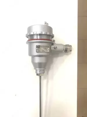 Преобразователь термоэлектрический ТП-Б-ExdbIICT6-ТХА(К)-1-И-К-(от -40 до +1100)-300/6-М(Ак1)-МГ(7-13)(Inconel600)