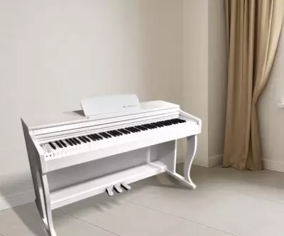 Raqamli pianino. Elektron pianino. Fortepiano BLANTH-8808 (oq) - 6 300 000 so'm / dona