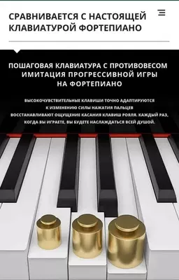 Цифровое Пианино. Электронное пианино. Фортепиано BLANTH-8808 (черный) Только в розницу