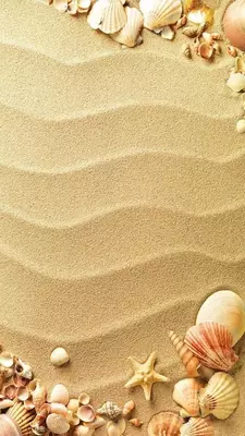 Kvars qumi - 150 so'm / kgdan