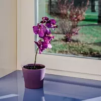 Окно пластиковое ПВХ