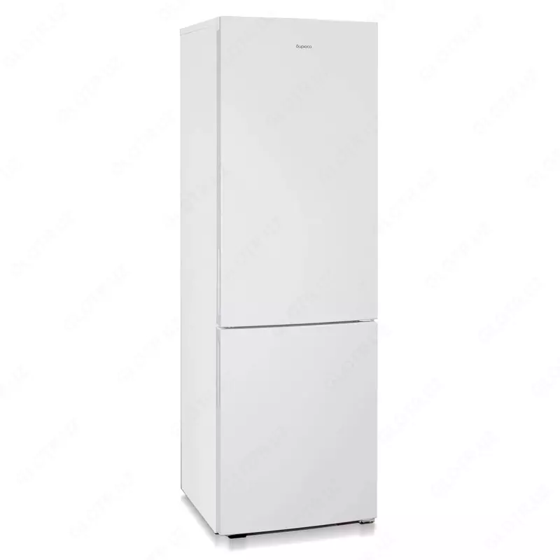 Холодильник Бирюса 6027.