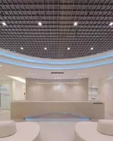 Потолки Грильято от Agraf Steel — архитектурный стиль