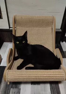 Лежанка для кошки премиум класса в виде кресла