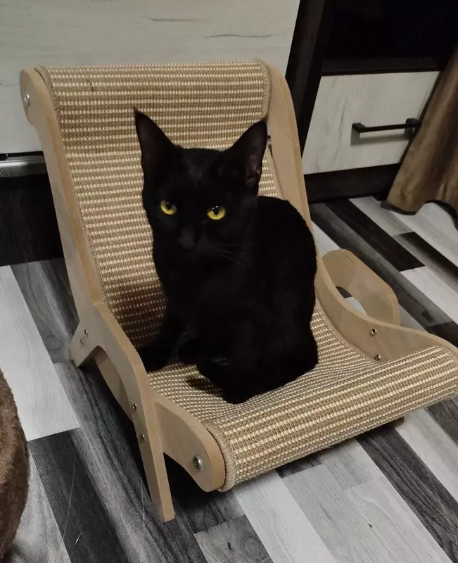 Лежанка для кошки премиум класса в виде кресла. - 400 000 сум