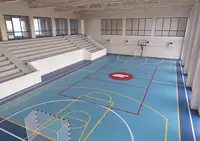 Спортивное ПВХ покрытие