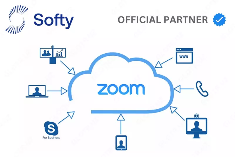 Zoom Professional 300